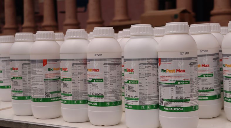 Reciben productores de Cadereyta material biológico para la prevención y control de la plaga picudo 2 Reciben productores de