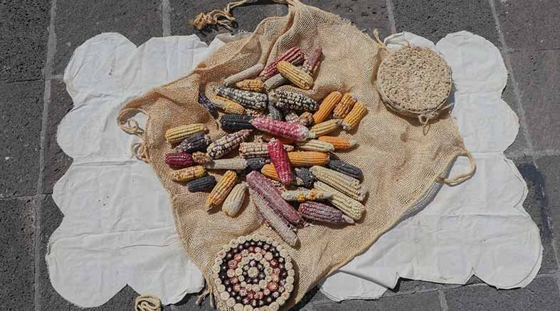 Jubilado UAQ expone “La leyenda del maíz. El viaje” 3 leyenda 1