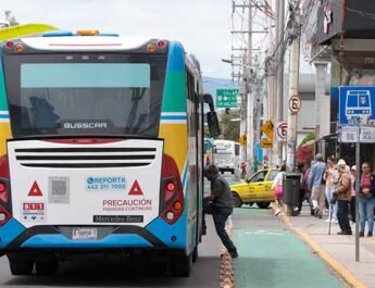 nuevos autobuses