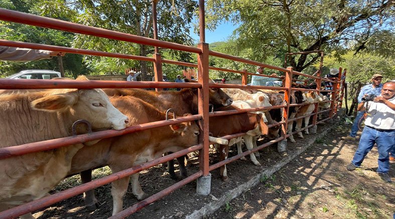 Campaña de Salud Animal del 11 de noviembre al 11 de diciembre, En Jalpan 2 Salud Animal