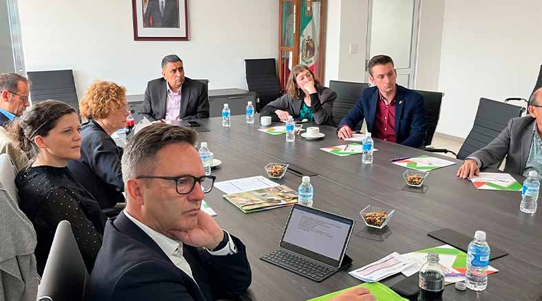 alianza con Alemania