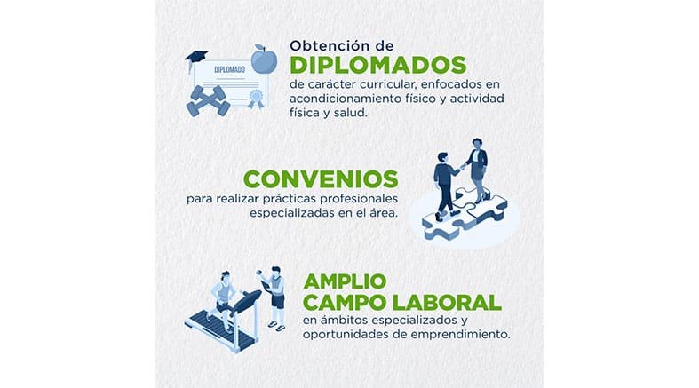 cultura fisica