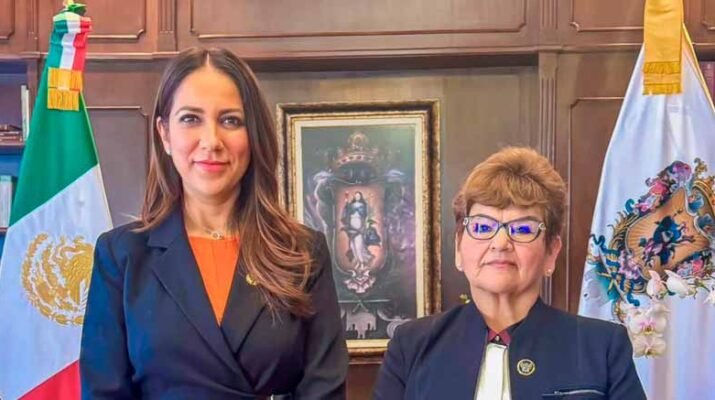 Zucé Anastacia Hernández, fiscal provisional de Guanajuato 1 Zucé