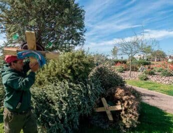 implementará campaña