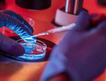 fertilización in vitro