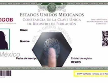 El CURP