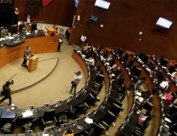 Senado