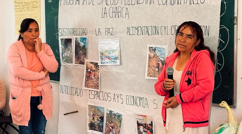 proyectos de