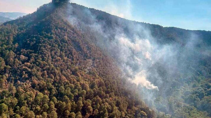 Controlado al 50% incendio en el Santuario de la Mariposa Monarca 1 Controlado
