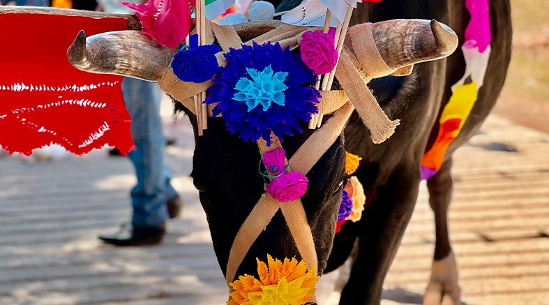 Peregrinación de