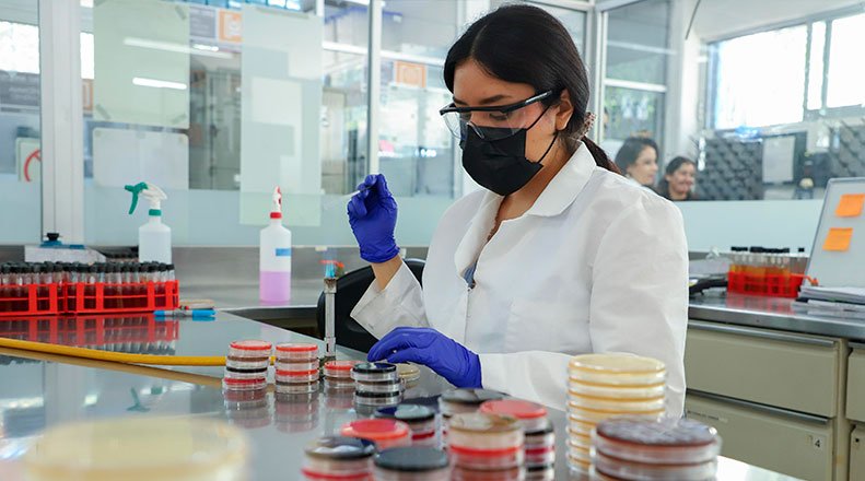 UAQ se consolida como líder nacional en inocuidad alimentaria con certificación internacional 2 inocuidad