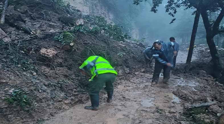 Vialidades despejadas en San Joaquín 4 vialidades