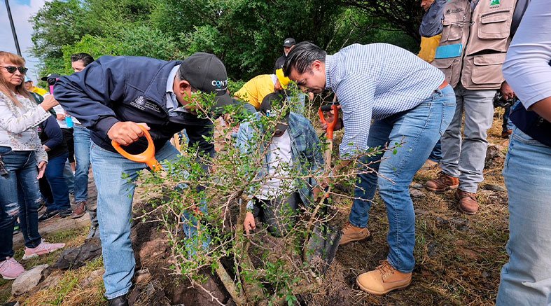 Participa Felifer Macías en la jornada Reverdecer Querétaro 4 Reverdecer