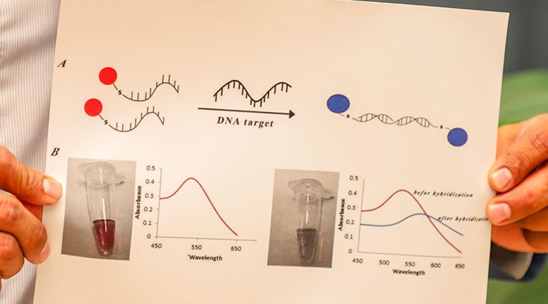 Investiga UAQ mutaciones genéticas que generan resistencia a quimioterapia en cáncer de colon 2 Investiga UAQ