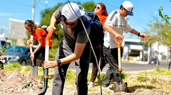 Reverdecer Querétaro