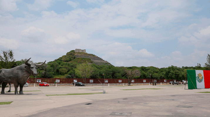 Entrega de kits para la Carrera Corregidora 2025 1 kits para