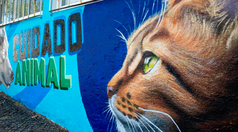 inaugura mural
