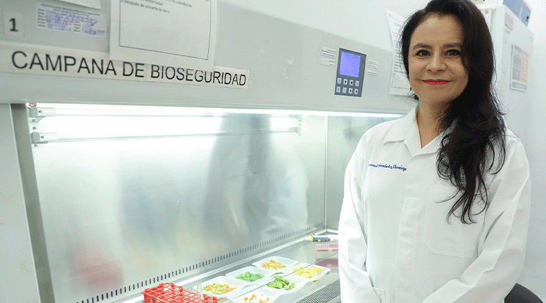 inocuidad alimentaria