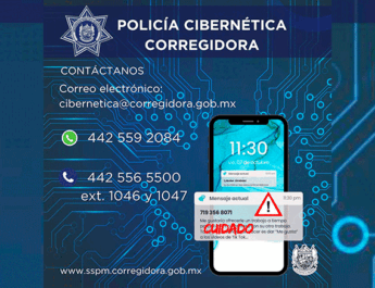 Policía-Cibernética