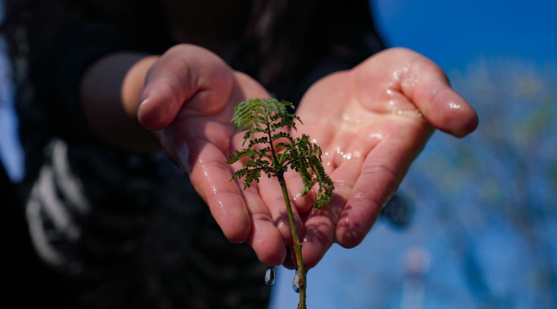 Global Water Stewardship selecciona a estudiante UAQ para estancia académica en Costa Rica 4 Stewardship