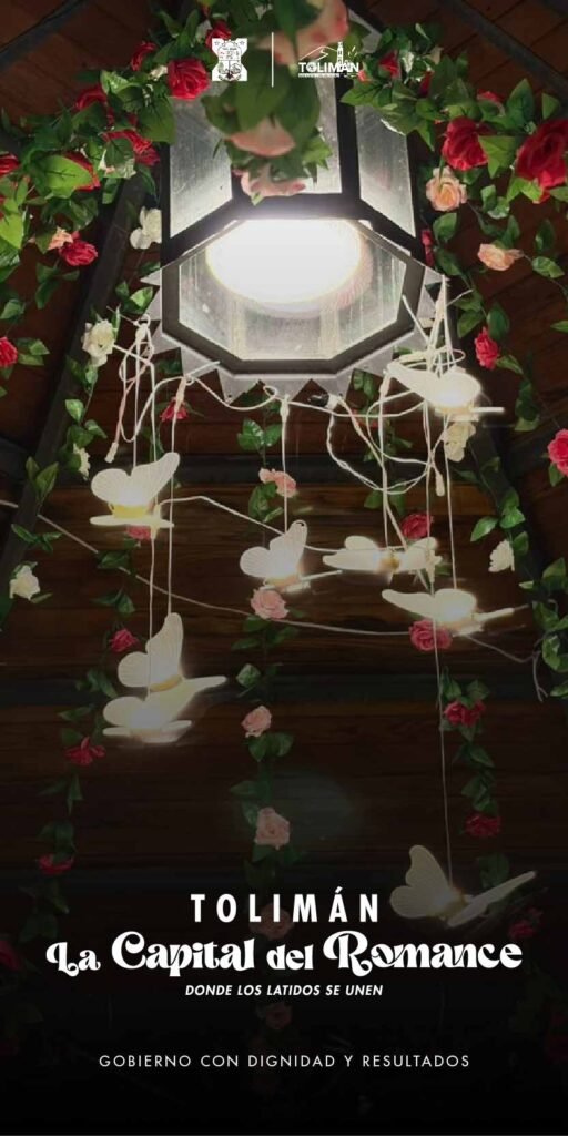 Banner-Tolimán-2