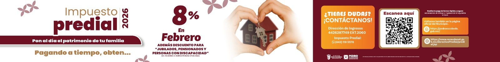 WhatsApp Image 2026-02-12 at 10.25.07 PM