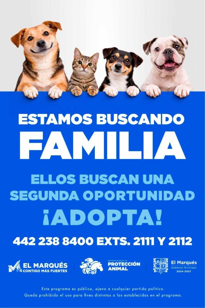 Banner-400x600-Marques