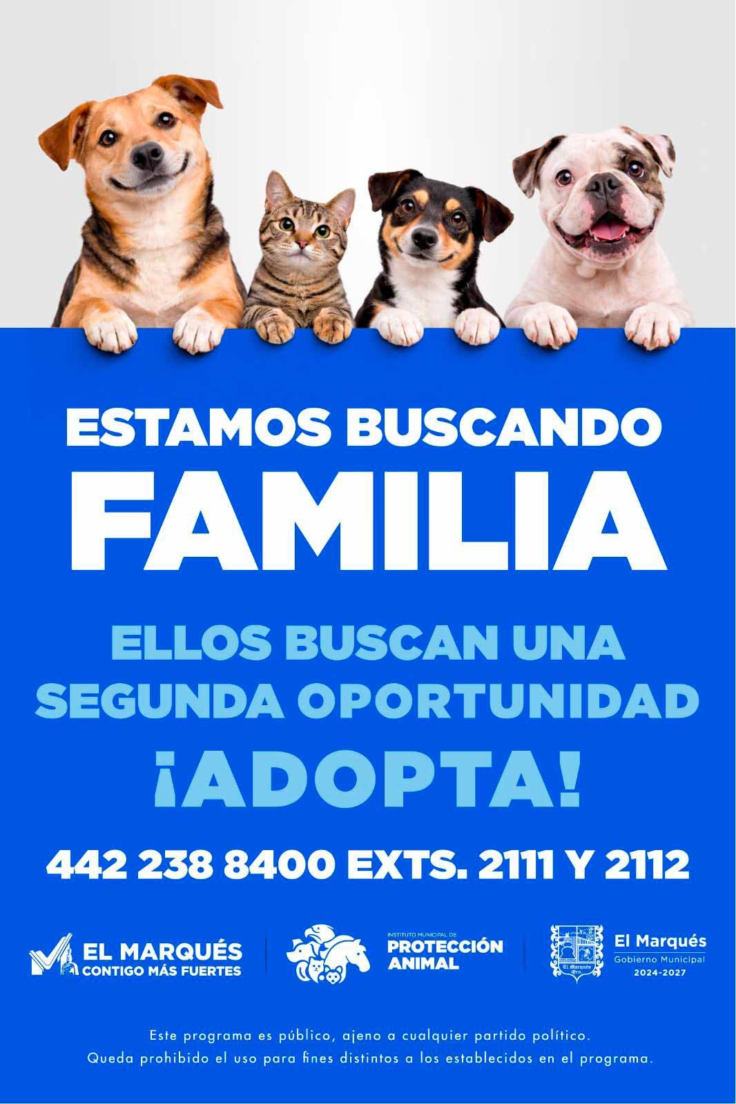 Jubilan a elementos de la Unidad K9 en El Marqués 3 https://elmarques.gob.mx/