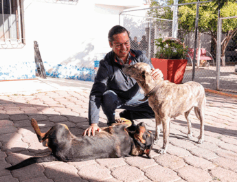 Clínica Veterinaria