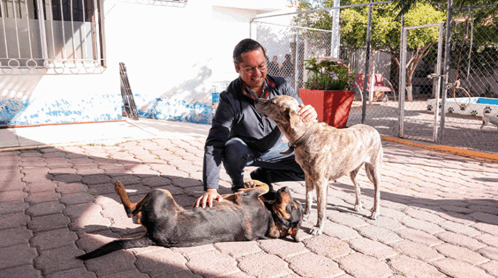 Clínica Veterinaria