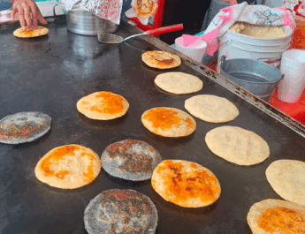 Festival Gastronómico