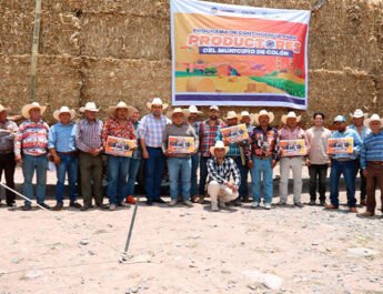 174 Productores