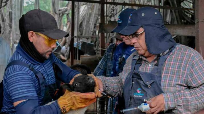 Corregidora lleva Jornada de Salud Animal a la comunidad de La Cueva 1 Corregidora lleva