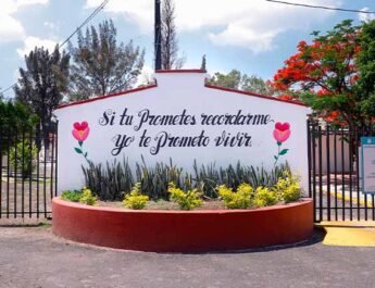 Exhumación