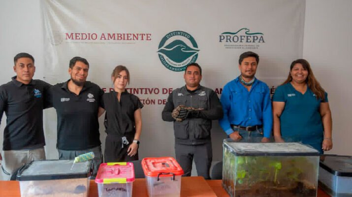 IMPA asegura especies exóticas y endémicas en El Marqués 1 IMPA asegura