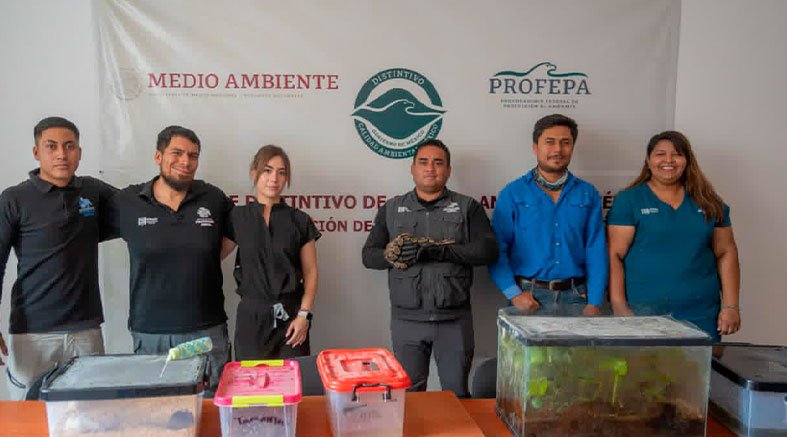 IMPA asegura especies exóticas y endémicas en El Marqués 4 IMPA asegura