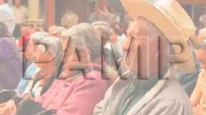 ¿Quién dijo yo, para conformar un partido de adultos mayores? 1 Quién dijo yo