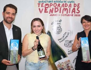 Vendimias 2026