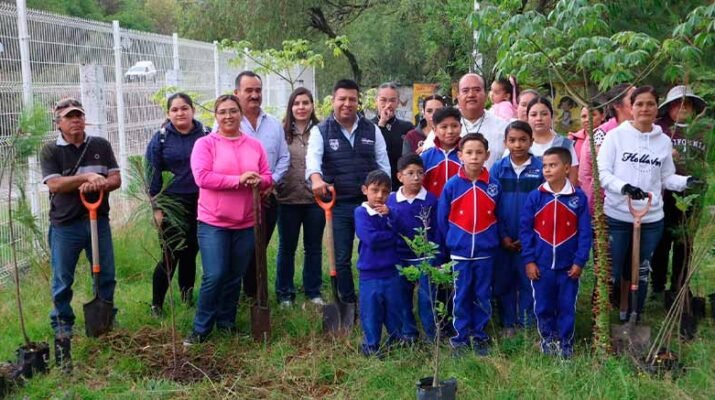 Huimilpan supera los 32 mil árboles plantados 1 32 mil árboles