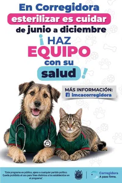 Banner-Corregidora-Junio