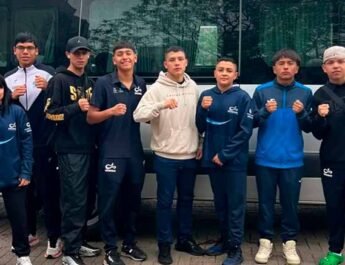 Boxeadores