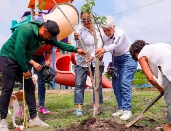 Día del Árbol