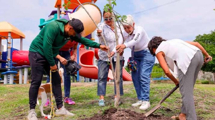Día del Árbol