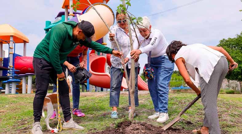 Día del Árbol