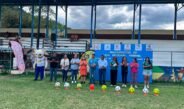 Liga Regional