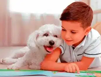 Niños