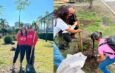 Reforestación 2026