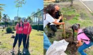 Reforestación 2026