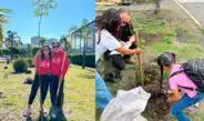Reforestación 2026