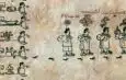 Tribus